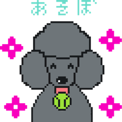 [LINEスタンプ] スタンダードプードルブラック 挨拶1