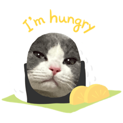 [LINEスタンプ] ししゃも3