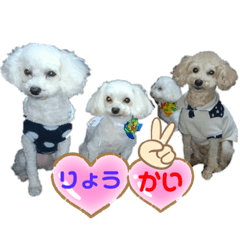 [LINEスタンプ] 可愛いわんこ姉妹♡