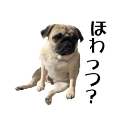 [LINEスタンプ] ゆるやかな生活