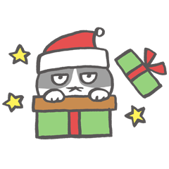 [LINEスタンプ] 猫太郎のクリスマスとお正月の画像（メイン）