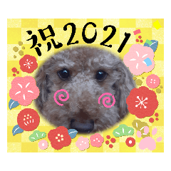 [LINEスタンプ] coco 202012