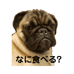 [LINEスタンプ] ワガママせんべいの日常