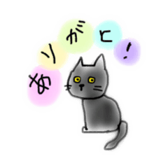 [LINEスタンプ] 黒猫ごまスタンプ