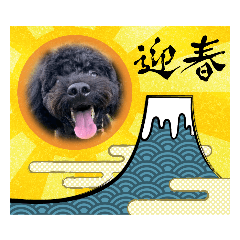 [LINEスタンプ] トイプードルがっくん