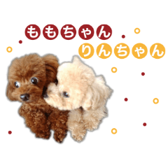 [LINEスタンプ] momochan.rinchan