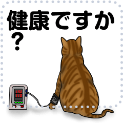 [LINEスタンプ] 茶トラ白猫と健康