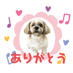 [LINEスタンプ] バン(363)
