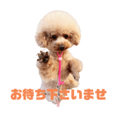 [LINEスタンプ] はな(175)
