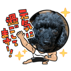 [LINEスタンプ] シャロンにおる犬