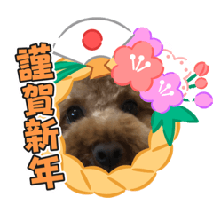 [LINEスタンプ] 徳島（デカ文字）お正月だョトイプークム3