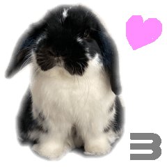 [LINEスタンプ] たれ耳うさぎ♡うにちゃん3