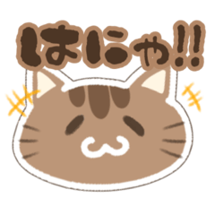 [LINEスタンプ] ほんわかにゃこさんの画像（メイン）