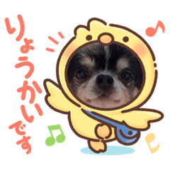 [LINEスタンプ] けんらむびび