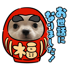 [LINEスタンプ] そら専用スタンプ⭐︎
