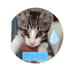 [LINEスタンプ] さむさむず