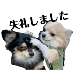 [LINEスタンプ] prada＆peace m.