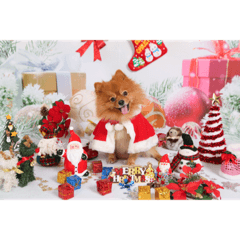 [LINEスタンプ] ルルのクリスマス