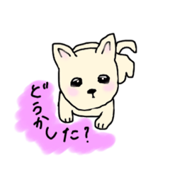 [LINEスタンプ] 豆柴の子犬くうちゃん