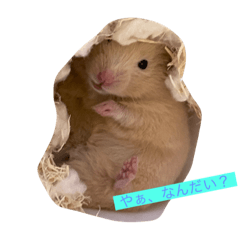 [LINEスタンプ] みやびとポン太