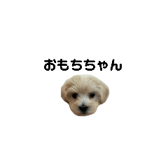 [LINEスタンプ] おもちちゃんがやってきた！