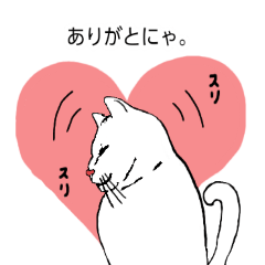 [LINEスタンプ] かわいい猫との生活