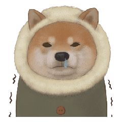 [LINEスタンプ] 柴犬 Shiba 3の画像（メイン）