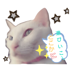 [LINEスタンプ] ふぅちゃんしぃちゃんとお友達fu-si-friend