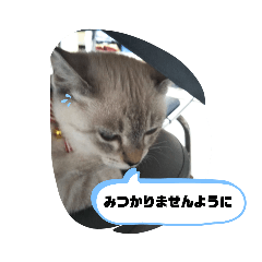 [LINEスタンプ] 言葉あそび