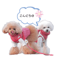 [LINEスタンプ] まろくるちゃん♡
