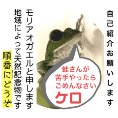 [LINEスタンプ] モリアオガエル 日常編