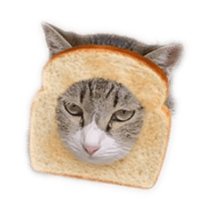[LINEスタンプ] こまりっち