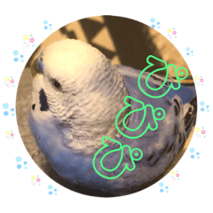 [LINEスタンプ] ぴーちゃんぴぴぴスタンプ