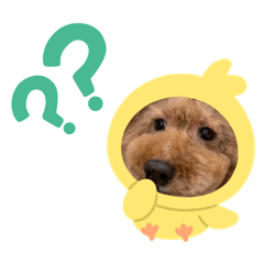[LINEスタンプ] チェブくん Ⅲ