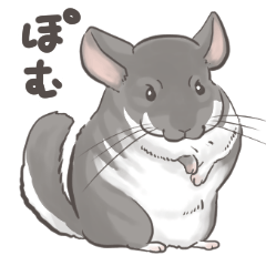 [LINEスタンプ] うちのチンチラ 敬語編の画像（メイン）