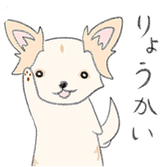 [LINEスタンプ] ロングコートチワワのしらたまの画像（メイン）