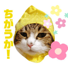 [LINEスタンプ] ごえもん日和 9