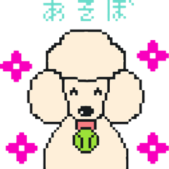 [LINEスタンプ] スタンダードプードル クリーム 挨拶1