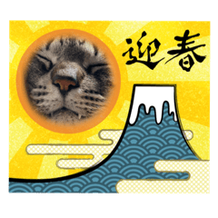[LINEスタンプ] ツカ様すたんぷ。3