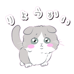 [LINEスタンプ] スコティッシュフォールド 〜日常〜