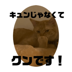 [LINEスタンプ] こねいもスタンプ2！