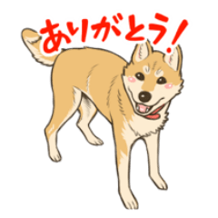 [LINEスタンプ] ゆうちゃんの可愛スタンプ