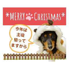 [LINEスタンプ] ミニチュアダックスの気ままなランチX'mas