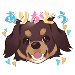 [LINEスタンプ] チワワ犬☆たぬ吉のスタンプ