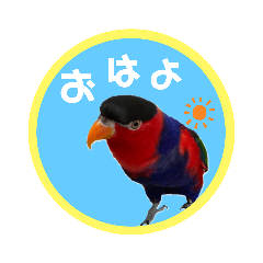 [LINEスタンプ] 鳥さん 友達 スタンプ