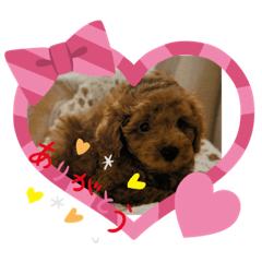 [LINEスタンプ] ゆかいな犬シリーズ