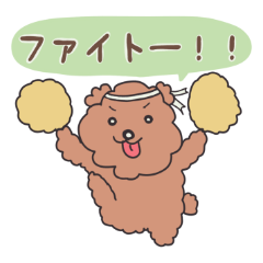 [LINEスタンプ] 〈毎日使える〉トイプーの日常