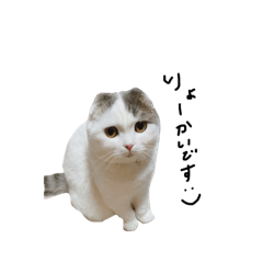 [LINEスタンプ] まんまるスコちゃん