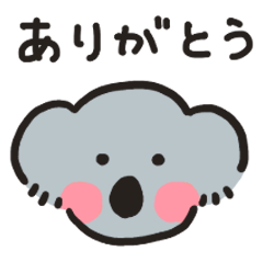 [LINEスタンプ] コアラのかおスタンプ【あいさつ編】