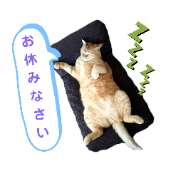 [LINEスタンプ] Ko-Tzy  Vol.1.2